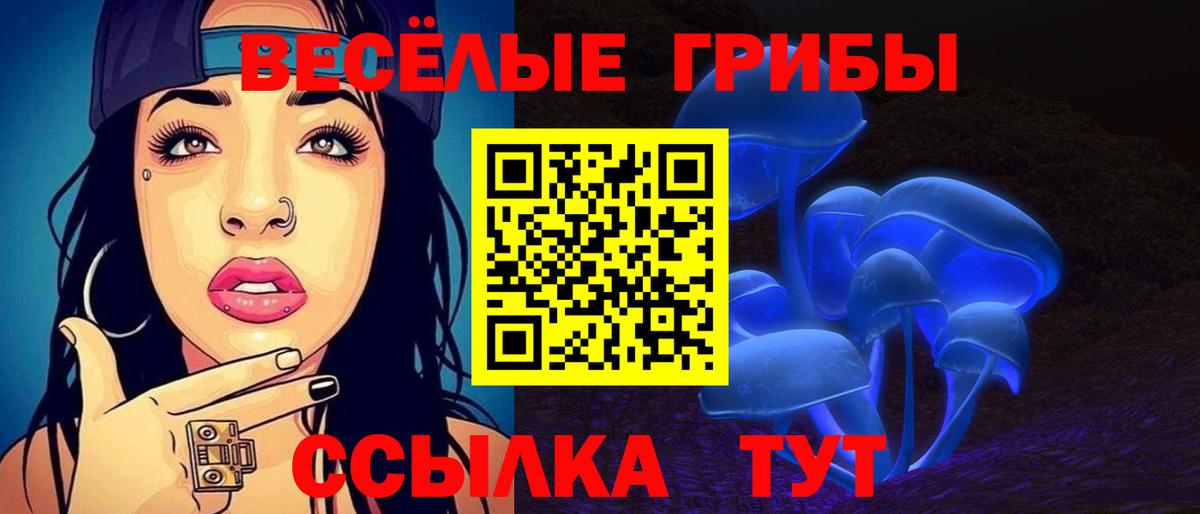 Галлюциногенные грибы Psilocybe Чистополь