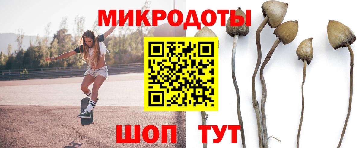 Псилоцибиновые грибы Magic Shrooms  Вход с VPN  Чистополь 